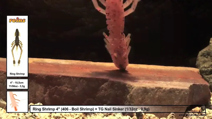 Силикон Reins Ring Shrimp